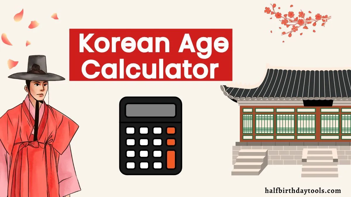 Korean age calculator interface displaying input fields and results for calculating age based on Korean age system.